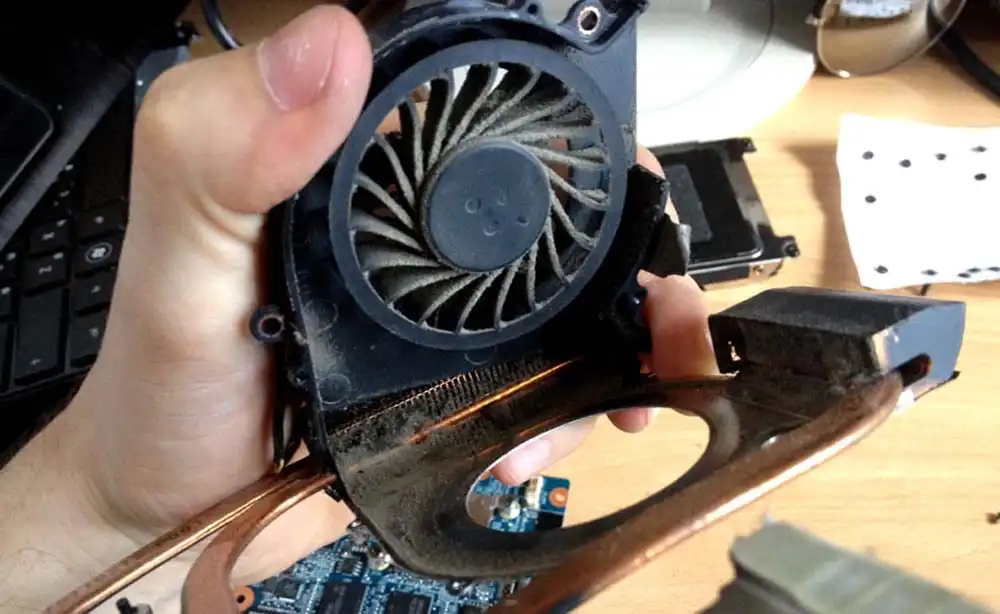 Чистка ноутбука HP от пыли в Москве | Замена термопасты