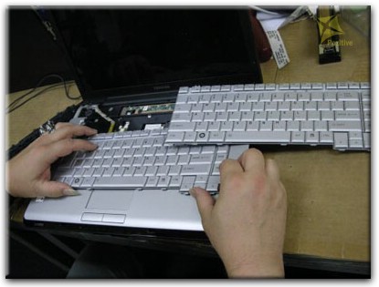 Ремонт клавиатуры на ноутбуке Toshiba в Москве